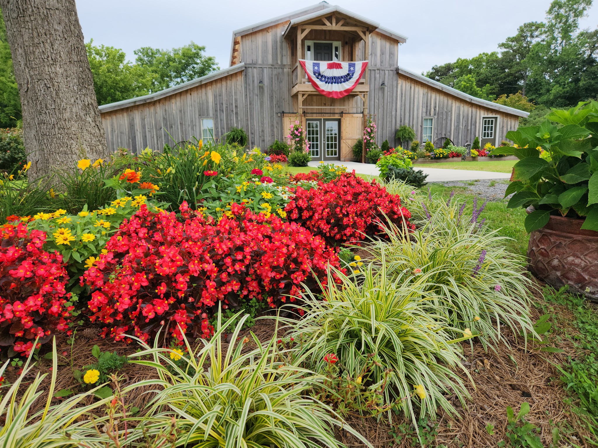Barn in spring