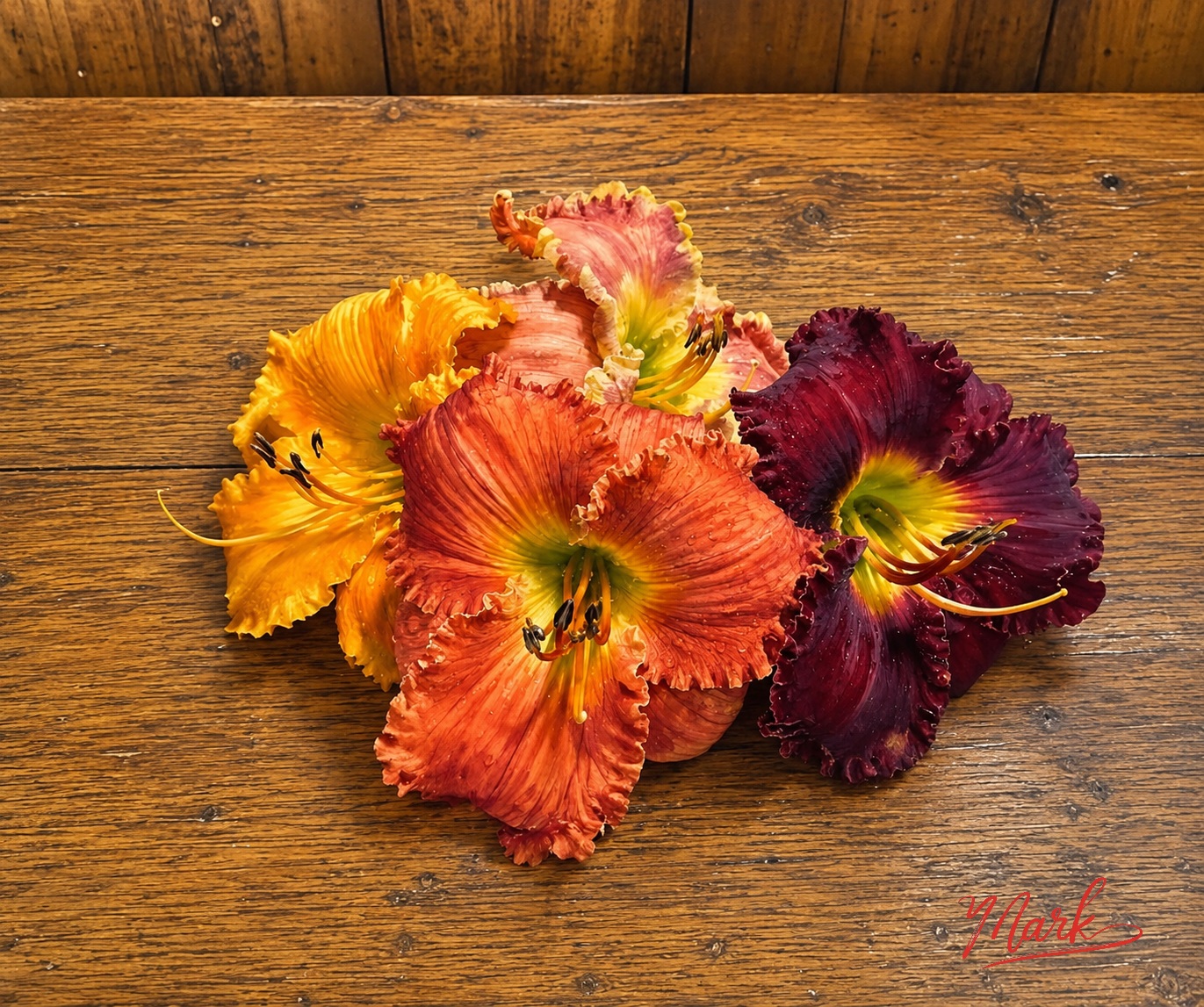 Day Lillies